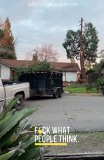 Screen Shot 2025-02-24 at 8.44.51 PM